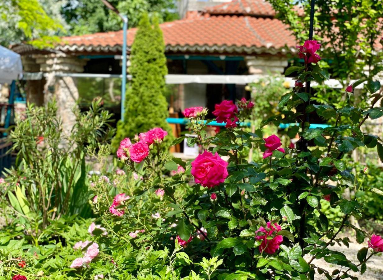 Vamabel House Bed and Breakfast Vama Veche Buitenkant foto