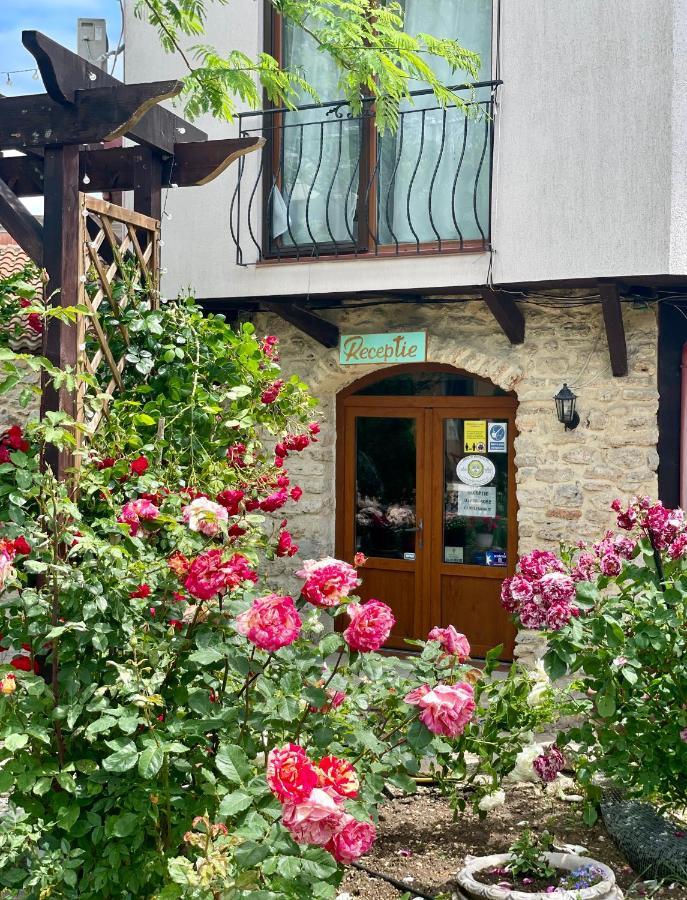 Vamabel House Bed and Breakfast Vama Veche Buitenkant foto