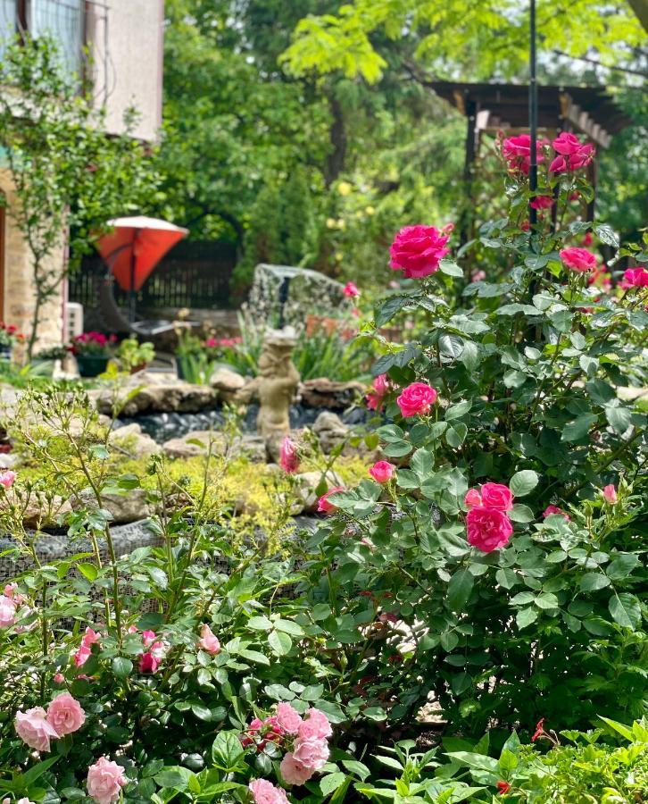 Vamabel House Bed and Breakfast Vama Veche Buitenkant foto