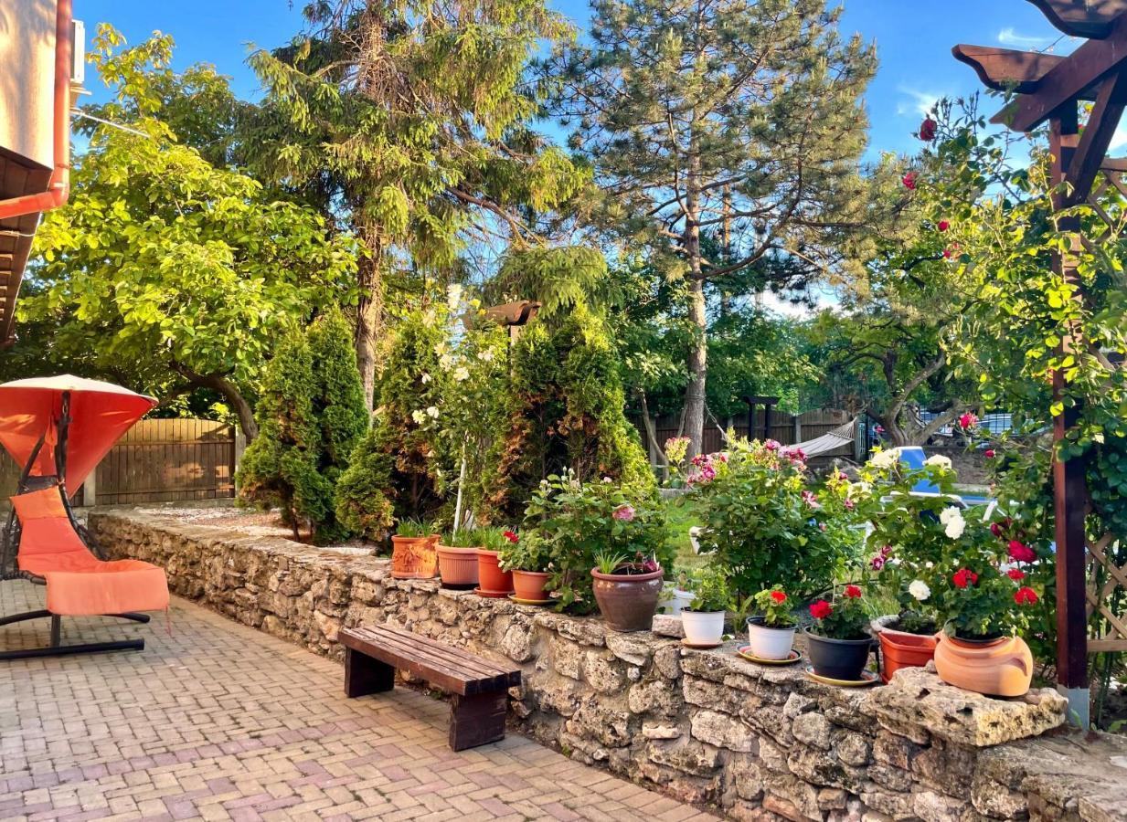 Vamabel House Bed and Breakfast Vama Veche Buitenkant foto