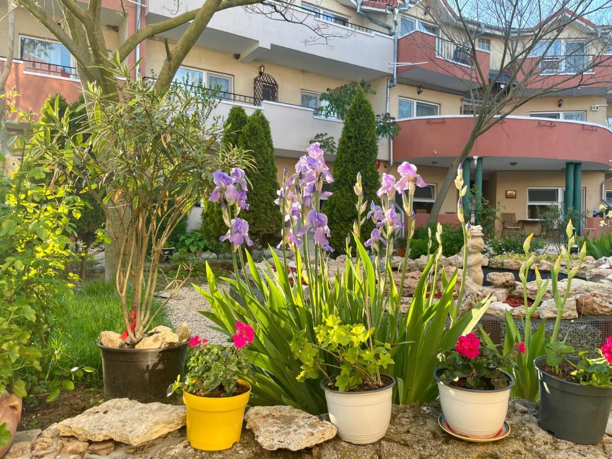 Vamabel House Bed and Breakfast Vama Veche Buitenkant foto