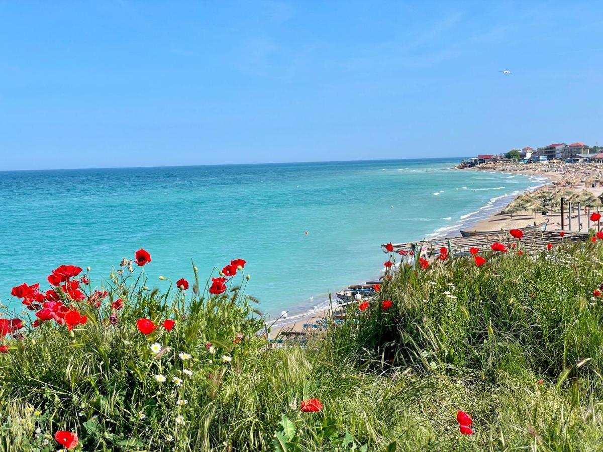 Vamabel House Bed and Breakfast Vama Veche Buitenkant foto